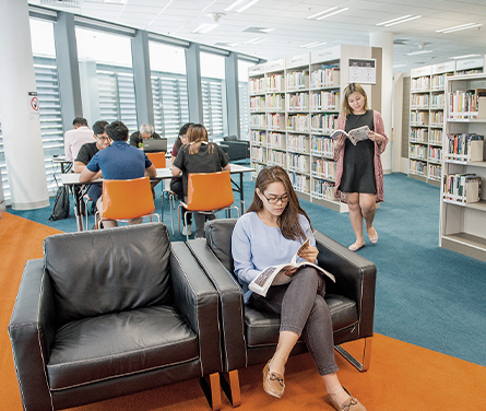 Sports Hub Library