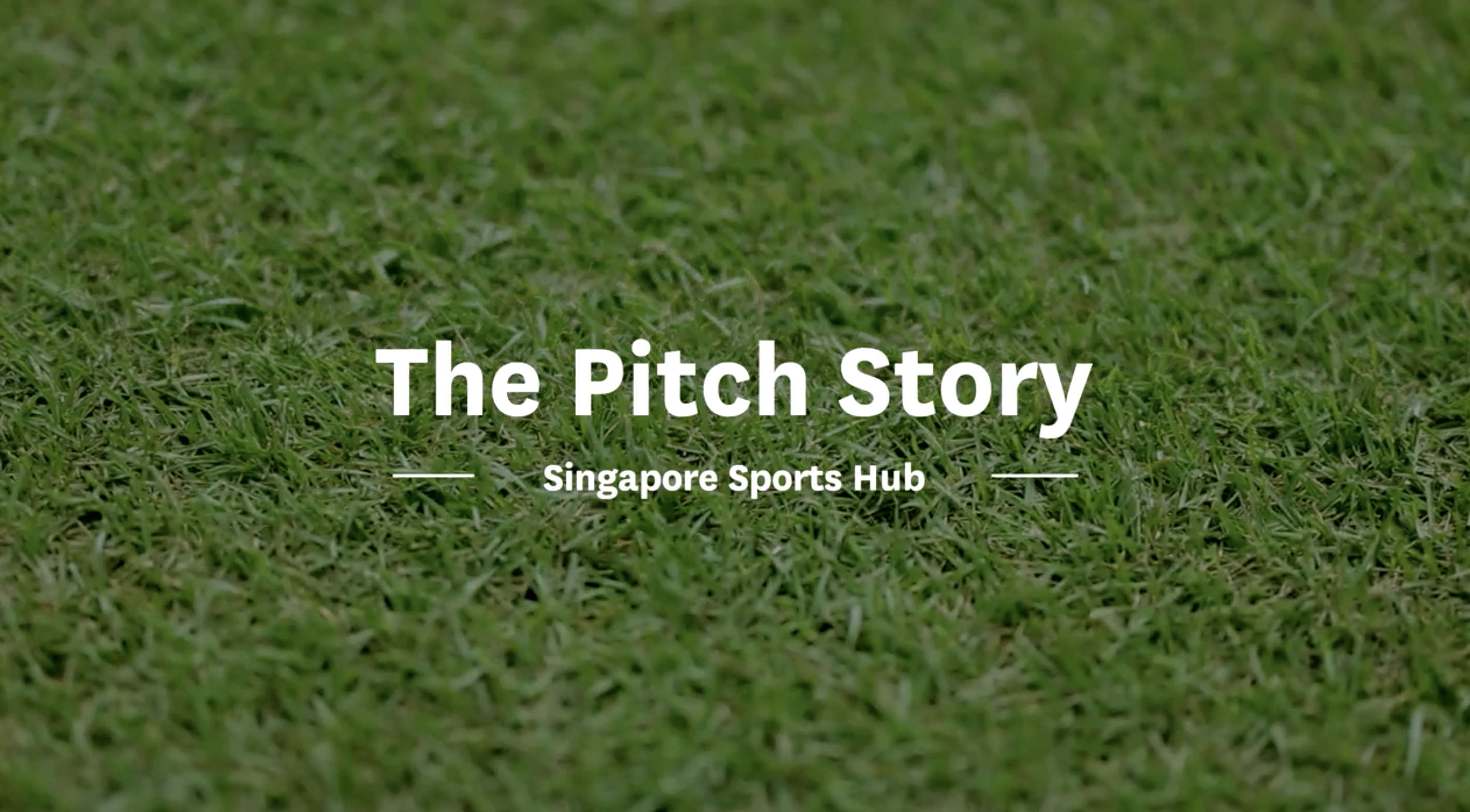 The Pitch Story