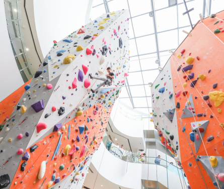 CLIMB CENTRAL B1-01